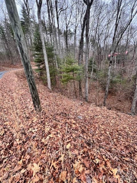 40 Bee Gum Ridge Bryson City, NC 28713 - Photo 1 of 5 a view of a yard with a tree