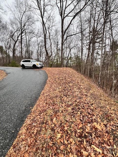 40 Bee Gum Ridge Bryson City, NC 28713 - Photo 4 of 5 a view of street with parked cars