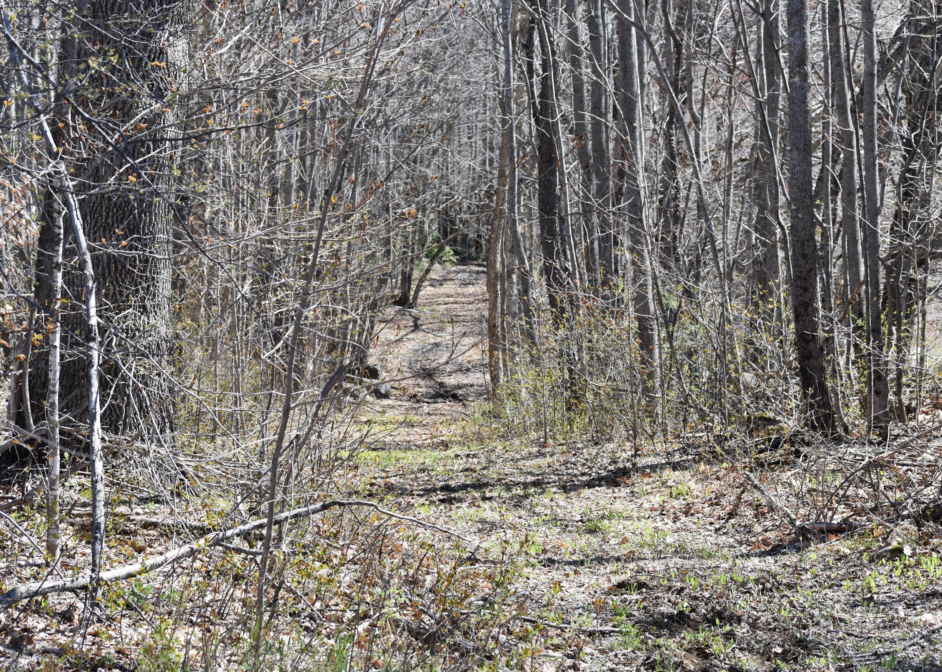 53 Twitchell Road Bryant Pond, ME 04219 - Photo 21 of 32 DSC_0140