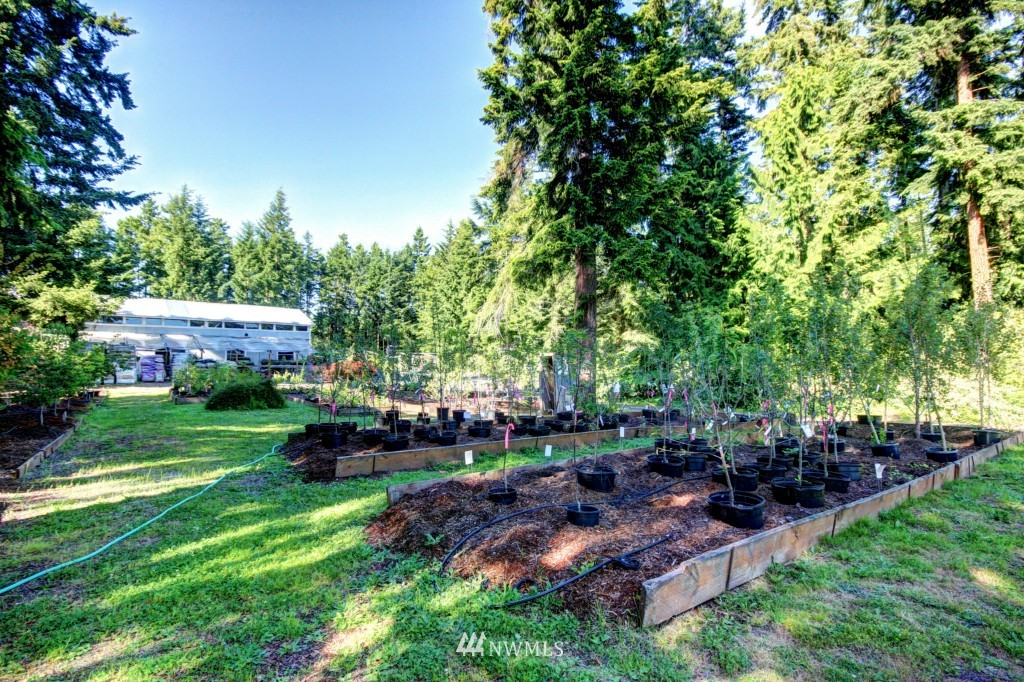 321 4 Corners Road Port Townsend, WA 98368 - Photo 11 of 15 Gallery Image 11