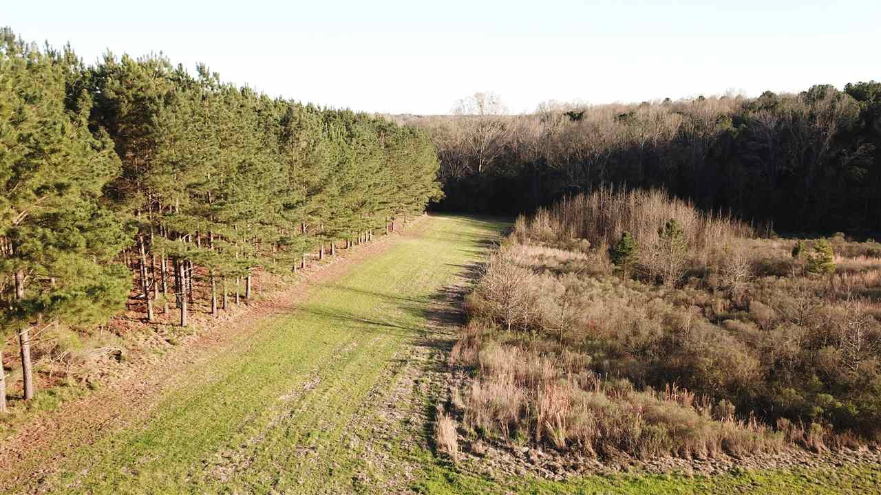4035 Richardson Road Bolton, MS 39041 - Photo 31 of 41 Photo 31