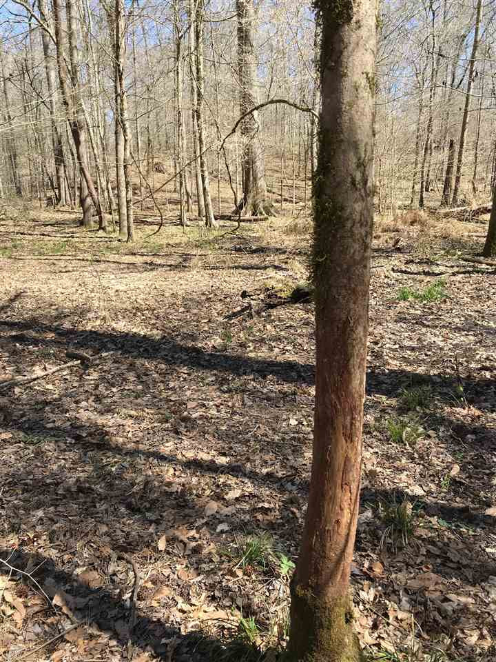 4035 Richardson Road Bolton, MS 39041 - Photo 36 of 41 Photo 36