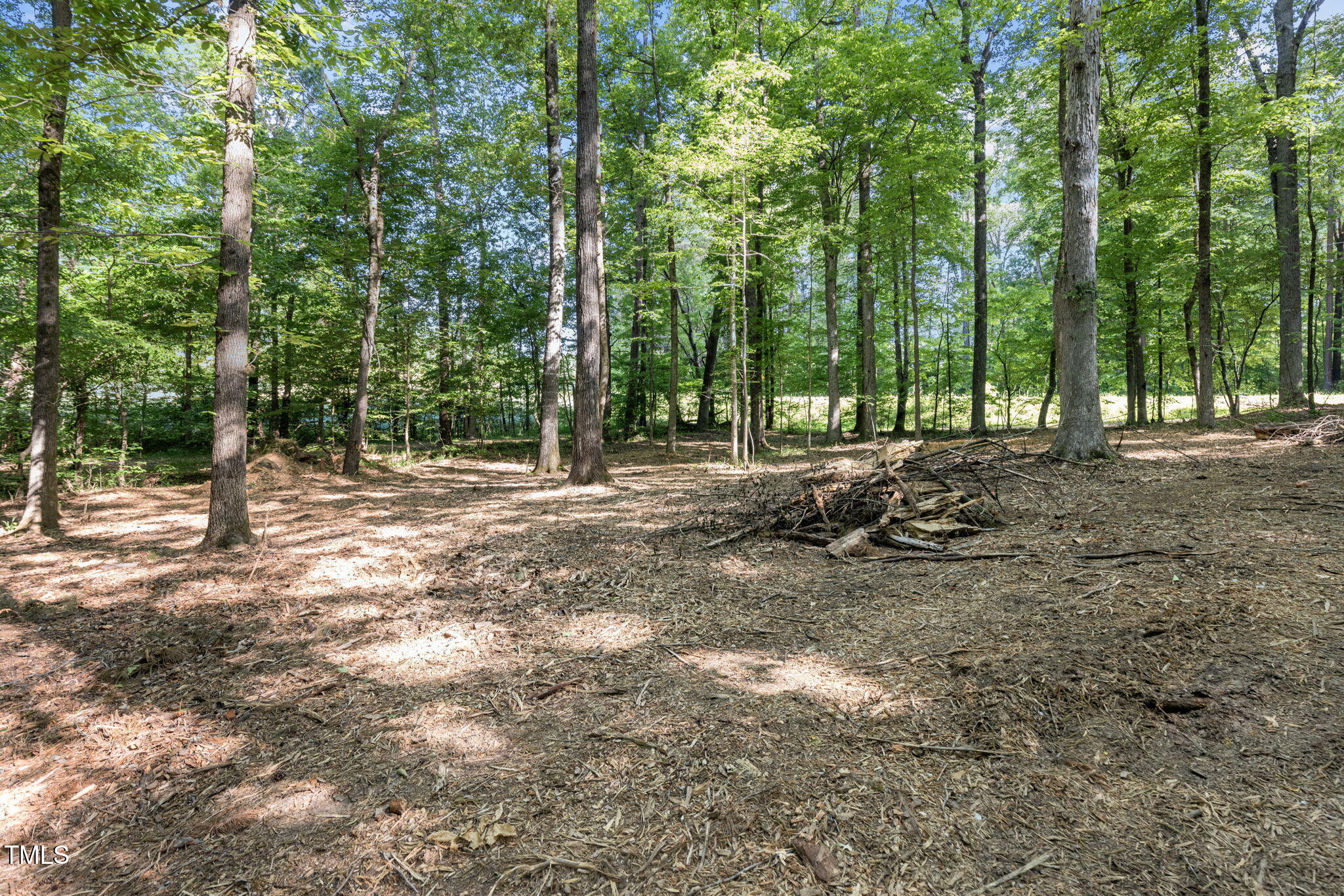 Lot 3 Helena Moriah Road Timberlake, NC 27583 - Photo 4 of 7 8-web-or-mls-8Y3A5276