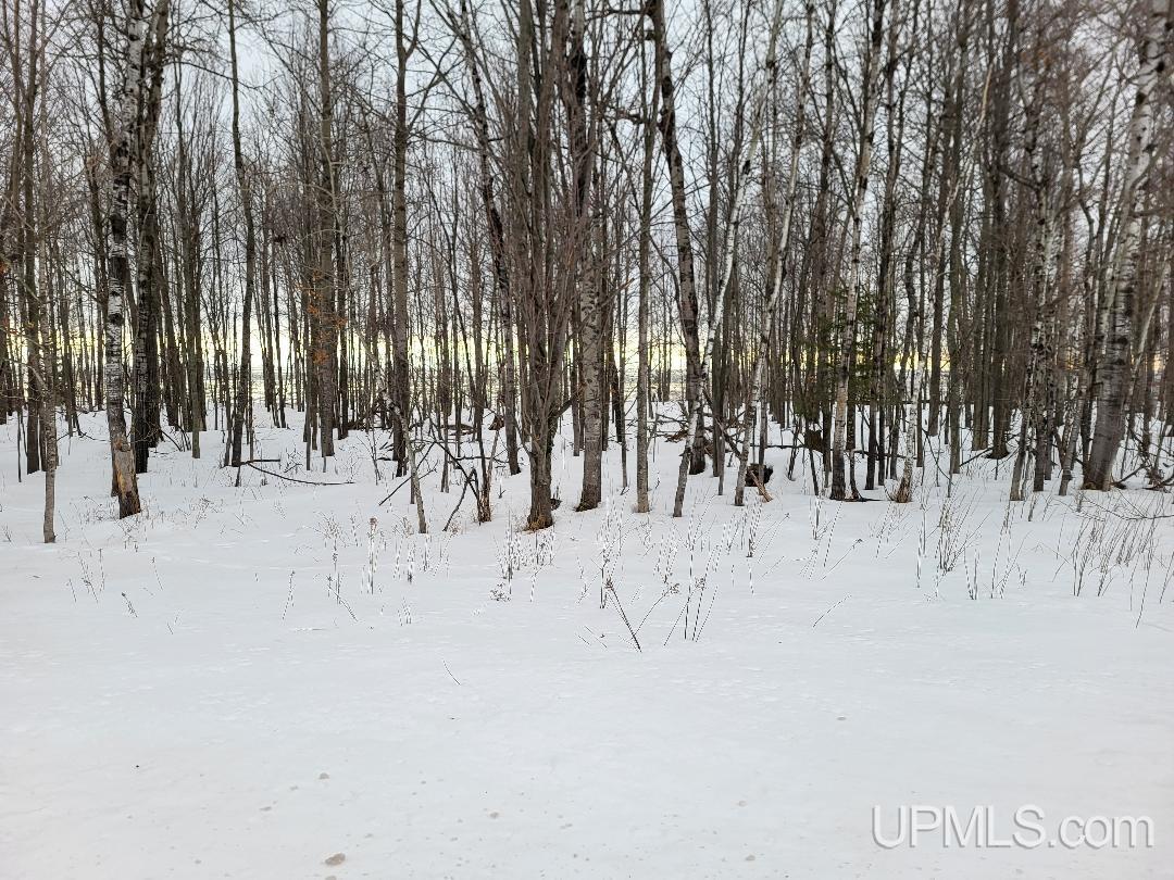 3 Lake Road Ironwood, MI 49938 - Photo 31 of 31