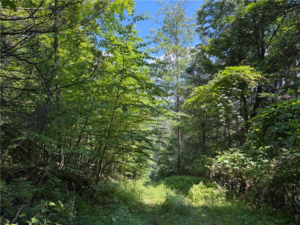 Vl Catatunk Road, Unit R Canisteo, NY 14823 - Photo 17 of 50