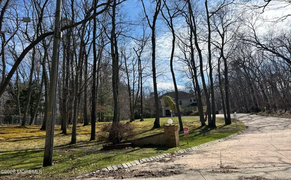 a view of a park with large trees