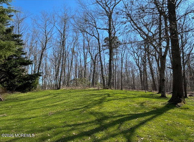 785 Green Valley Road Jackson, NJ 08527 - Photo 60 of 62 backyard on the hill