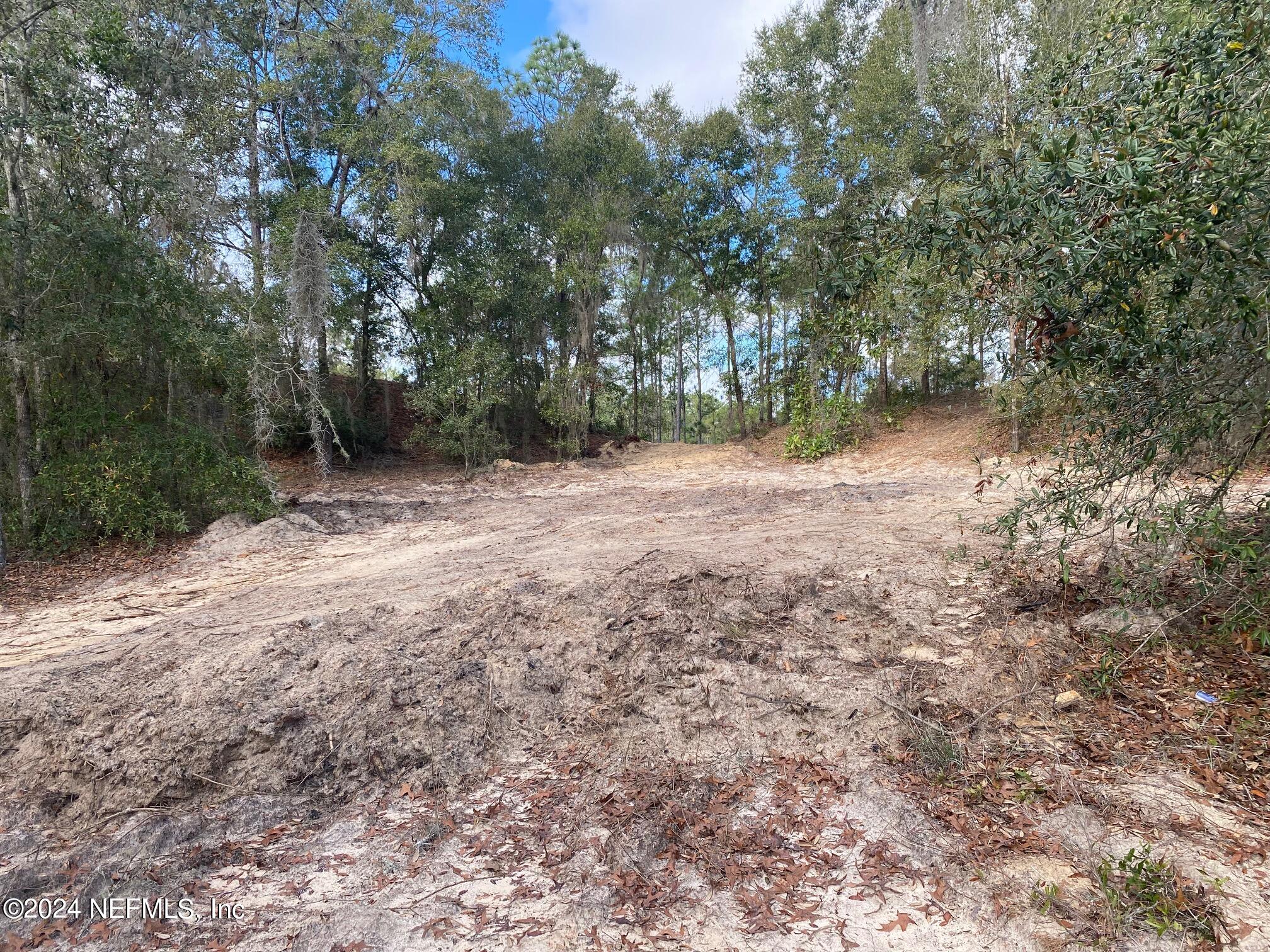 131 Lake Ray Road Hawthorne, FL 32640 - Photo 1 of 19 a view of a yard with a tree