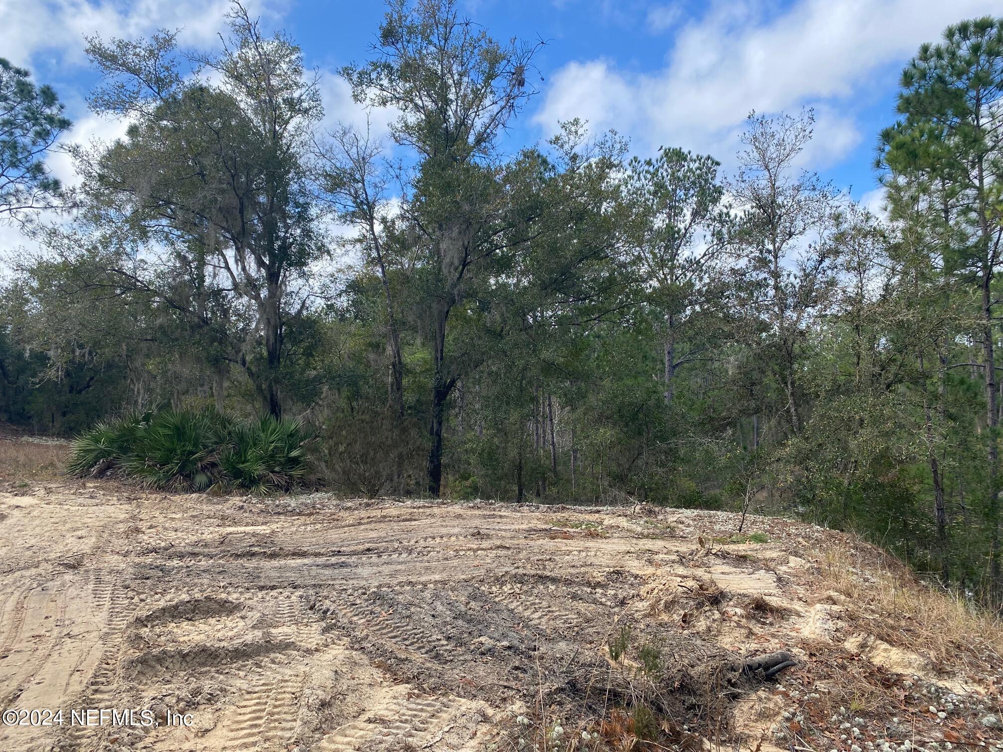 131 Lake Ray Road Hawthorne, FL 32640 - Photo 11 of 19