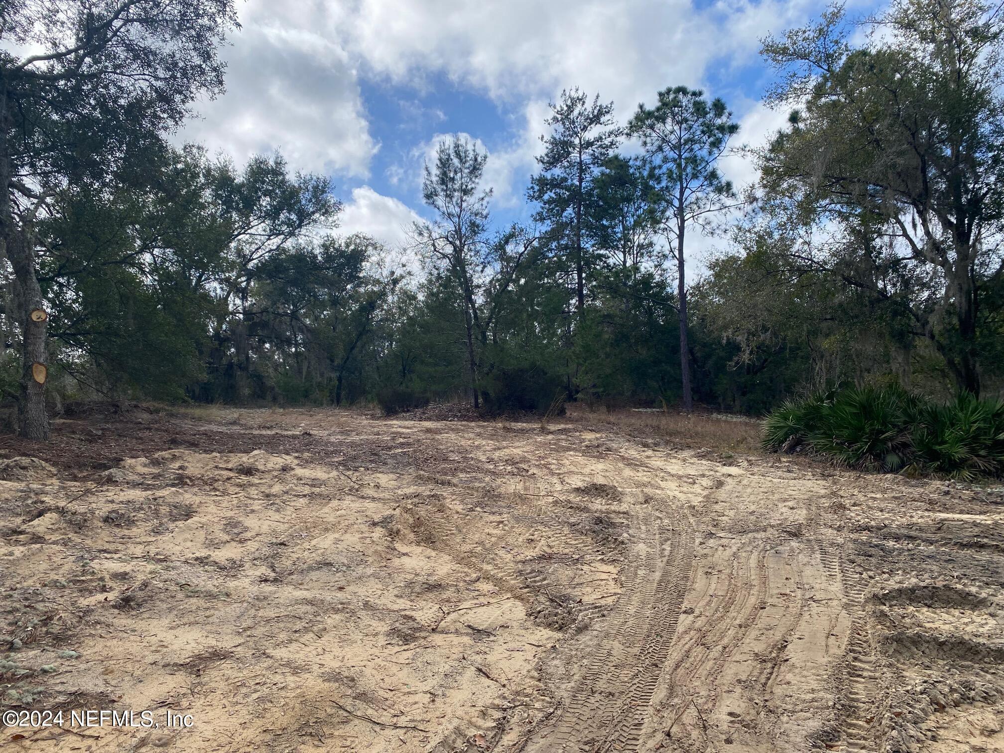 131 Lake Ray Road Hawthorne, FL 32640 - Photo 12 of 19 a backyard of a house with lots of green space