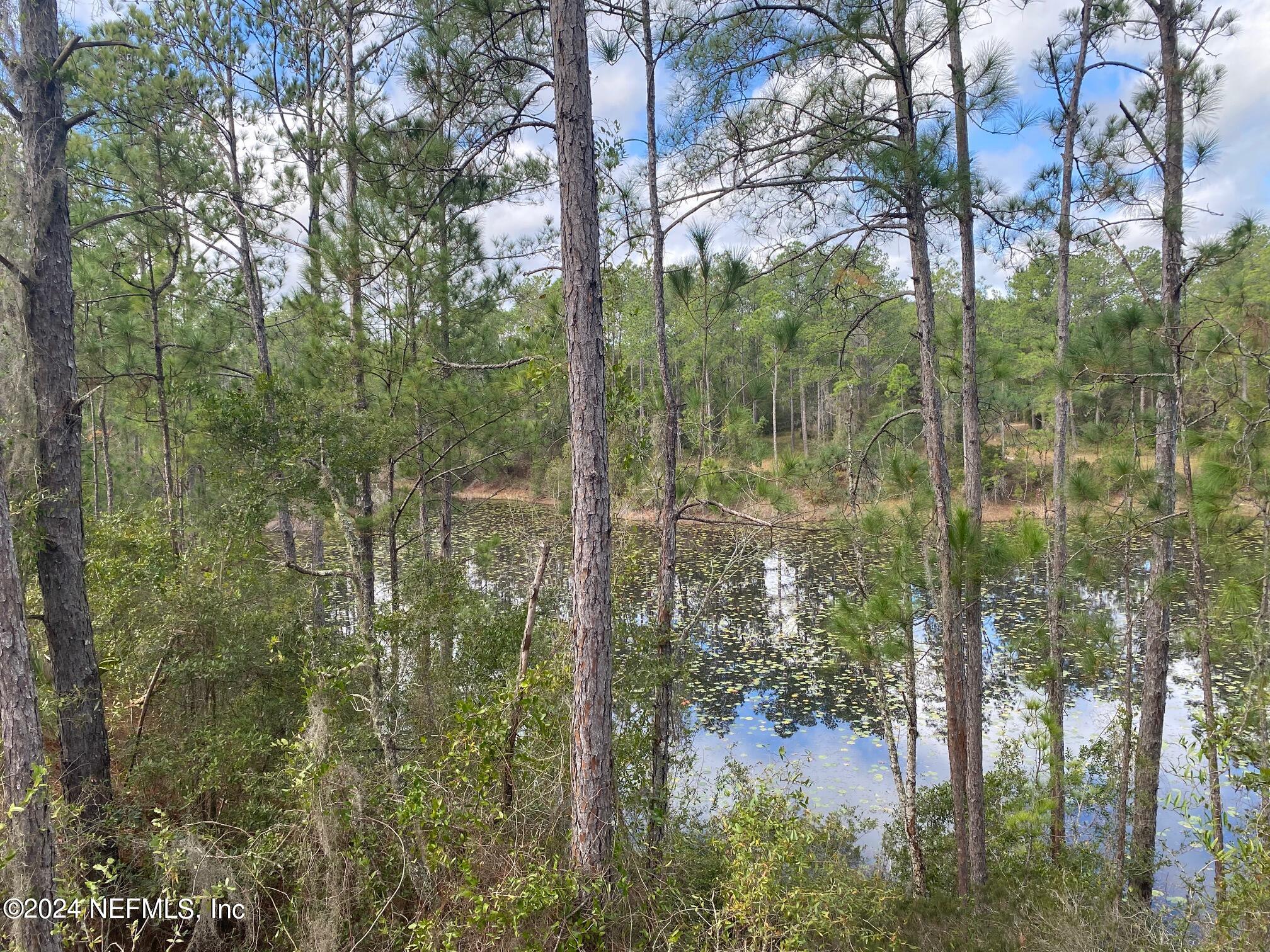 131 Lake Ray Road Hawthorne, FL 32640 - Photo 13 of 19 a view of a forest that has a tree