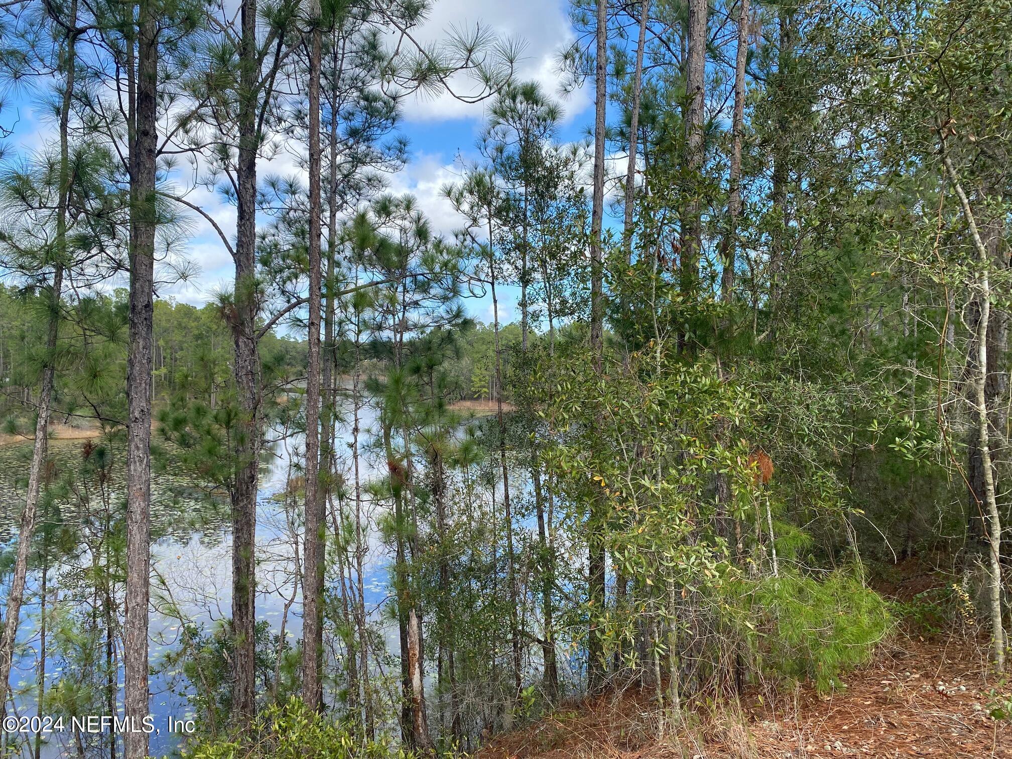 131 Lake Ray Road Hawthorne, FL 32640 - Photo 15 of 19 a view of a tree in a forest