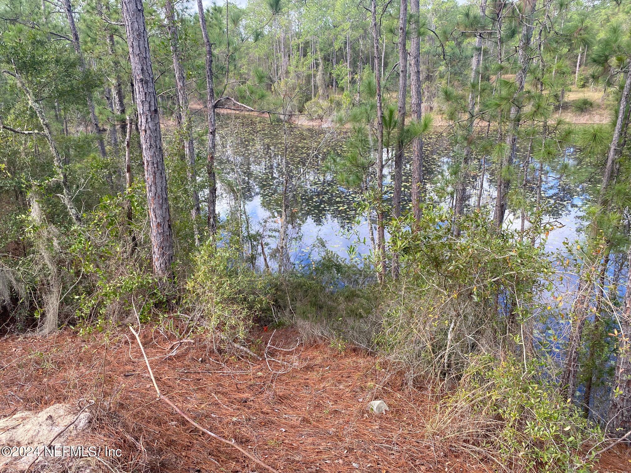 131 Lake Ray Road Hawthorne, FL 32640 - Photo 16 of 19 a view of forest