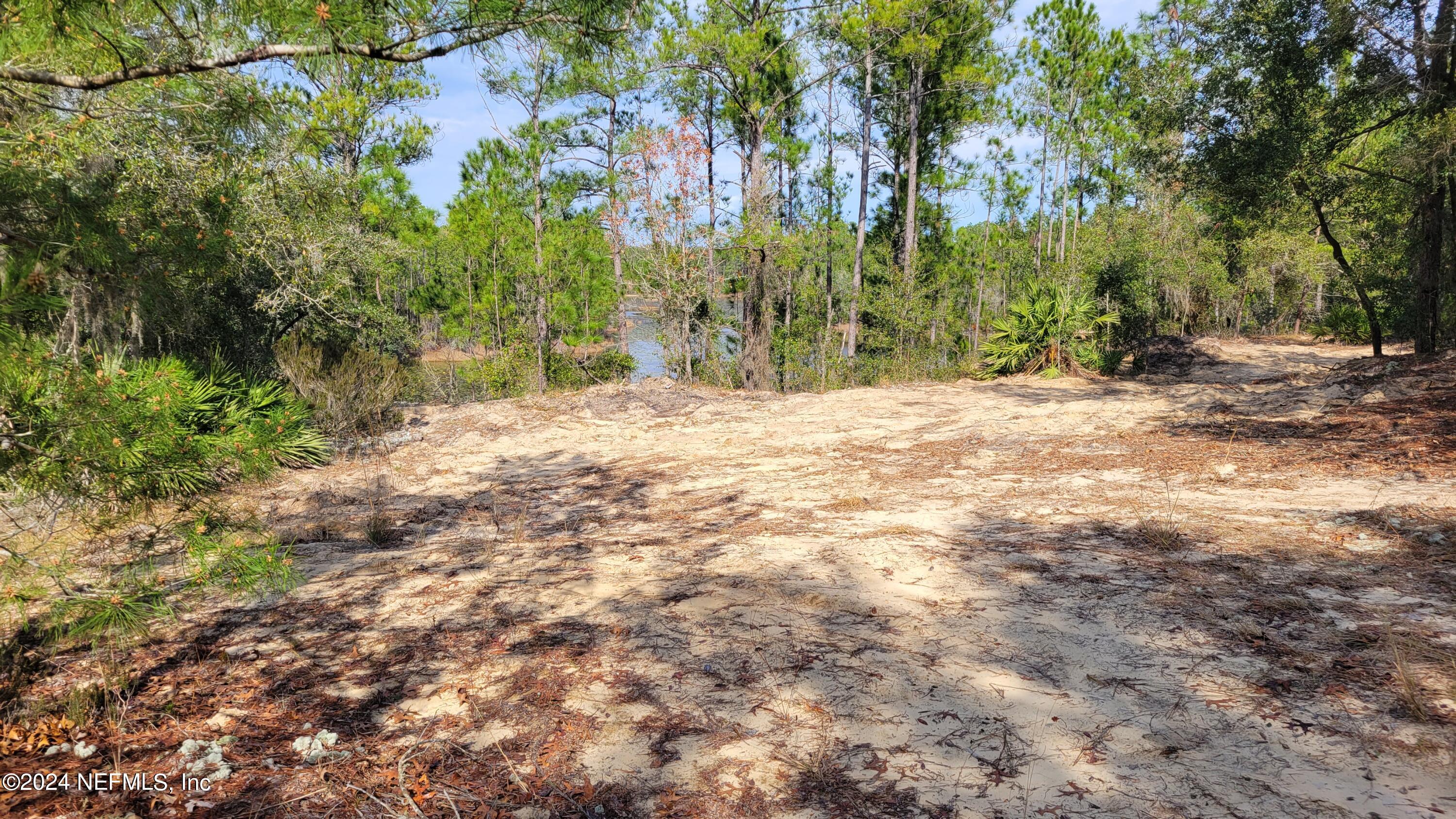 131 Lake Ray Road Hawthorne, FL 32640 - Photo 17 of 19 a backyard of a house with lots of green space