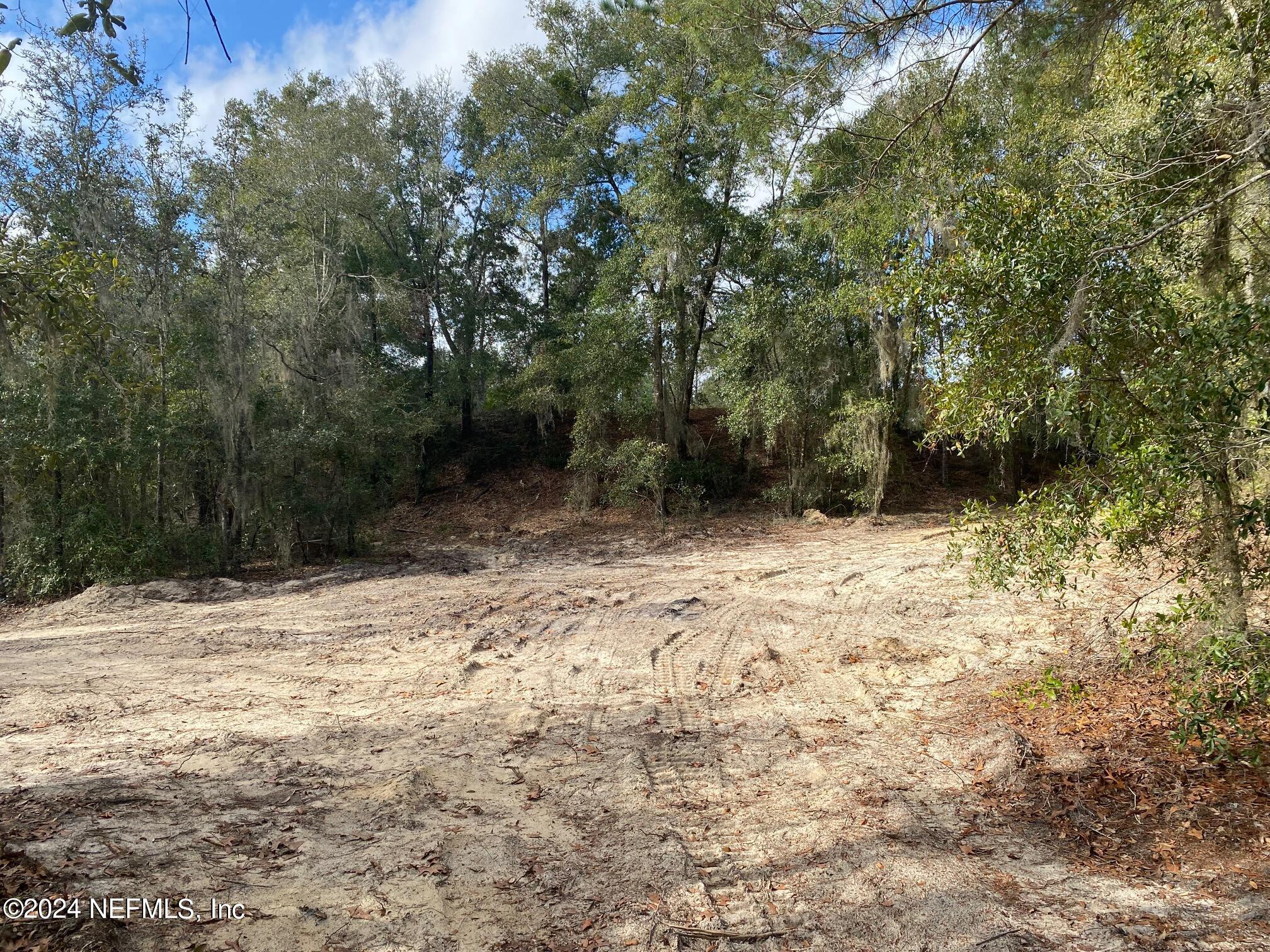 131 Lake Ray Road Hawthorne, FL 32640 - Photo 2 of 19 a view of backyard with green space