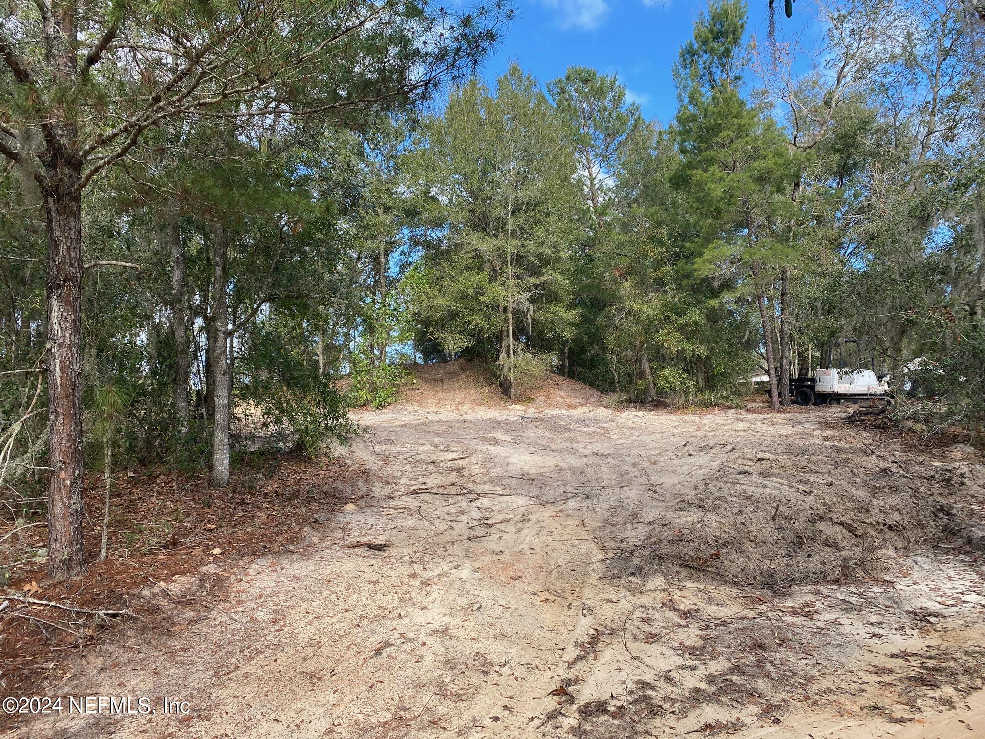 131 Lake Ray Road Hawthorne, FL 32640 - Photo 3 of 19 a view of a forest with trees in the background