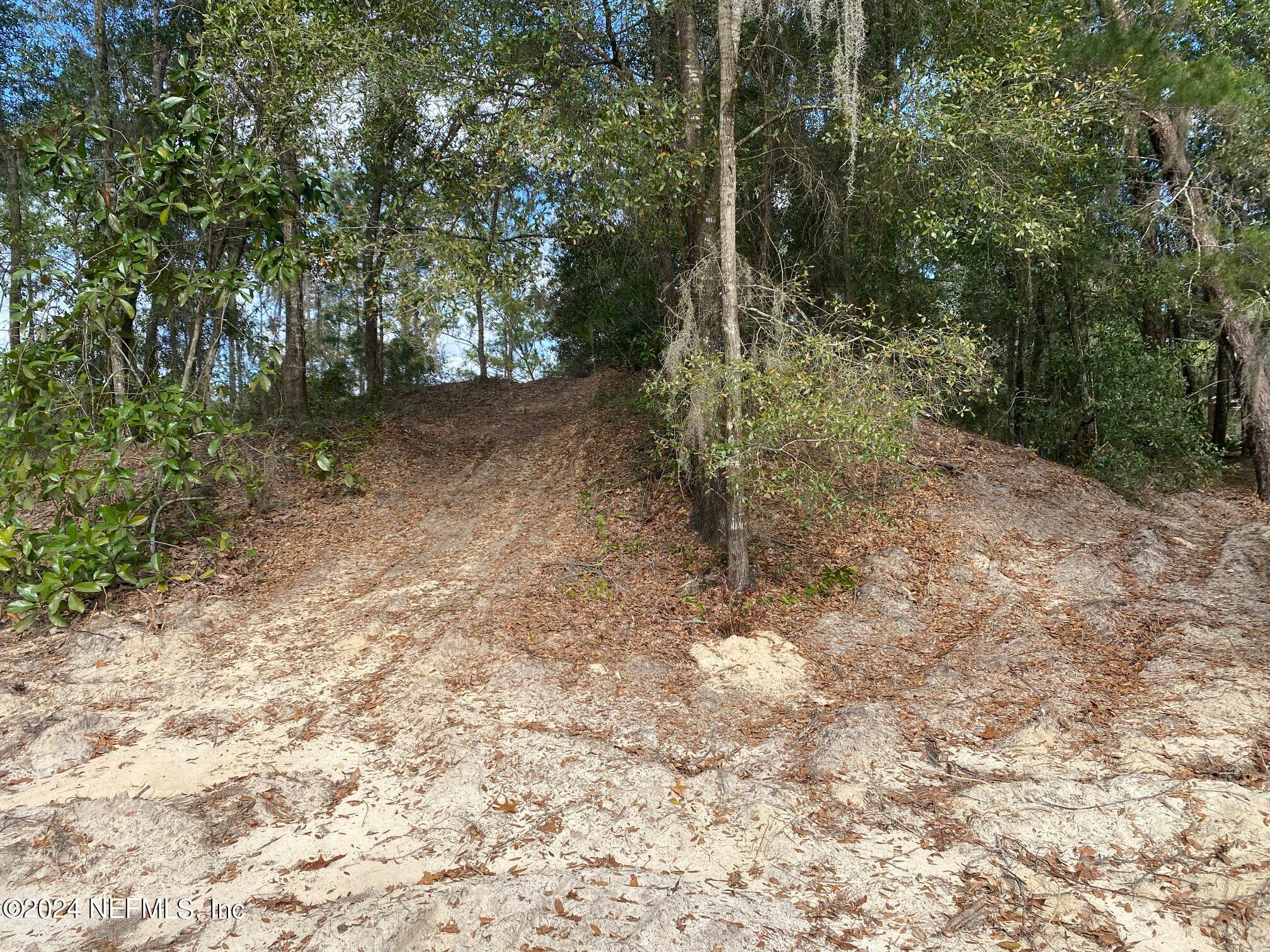 131 Lake Ray Road Hawthorne, FL 32640 - Photo 4 of 19 a view of a forest with trees in the background