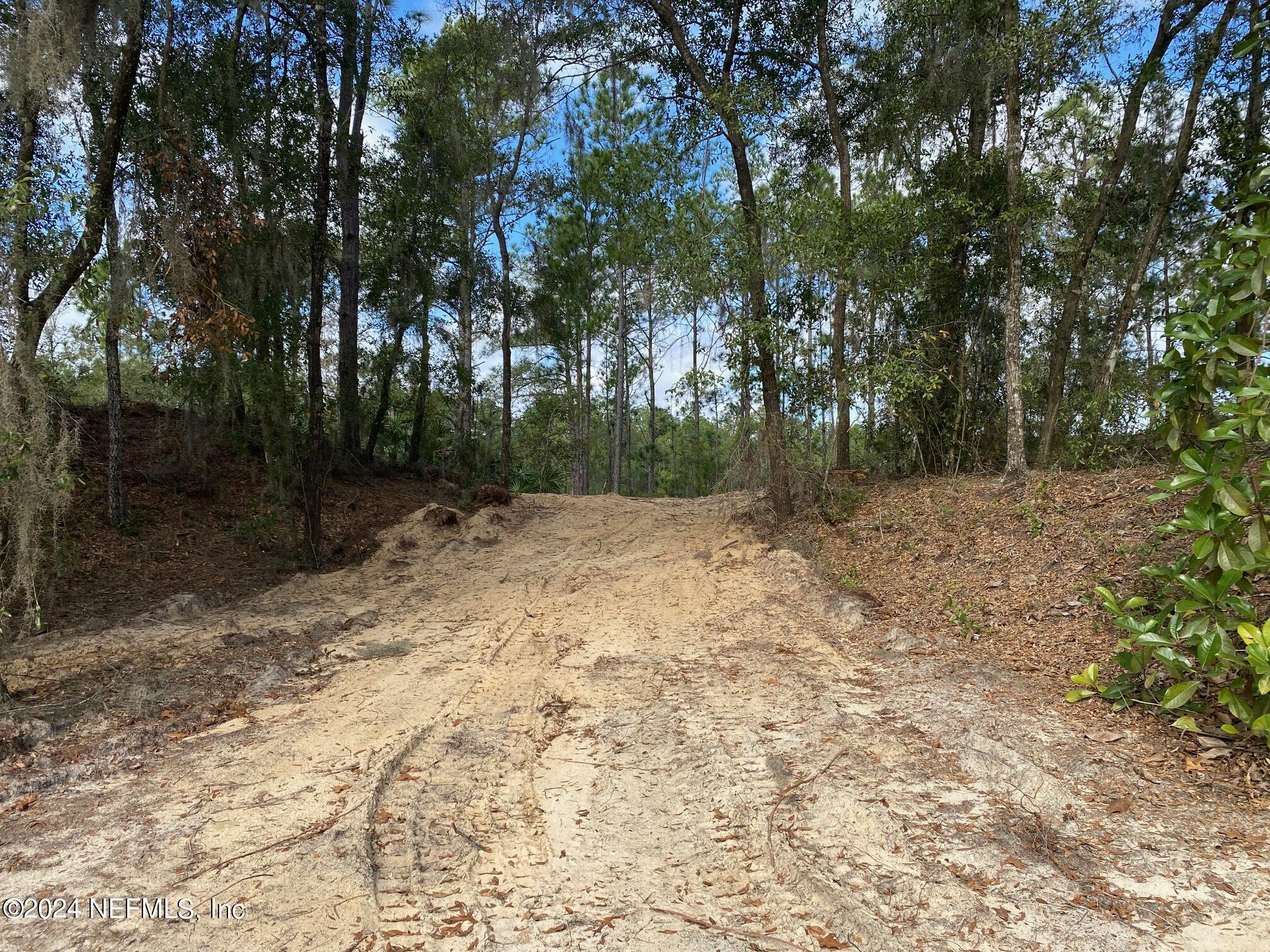 131 Lake Ray Road Hawthorne, FL 32640 - Photo 5 of 19 a view of backyard with green space