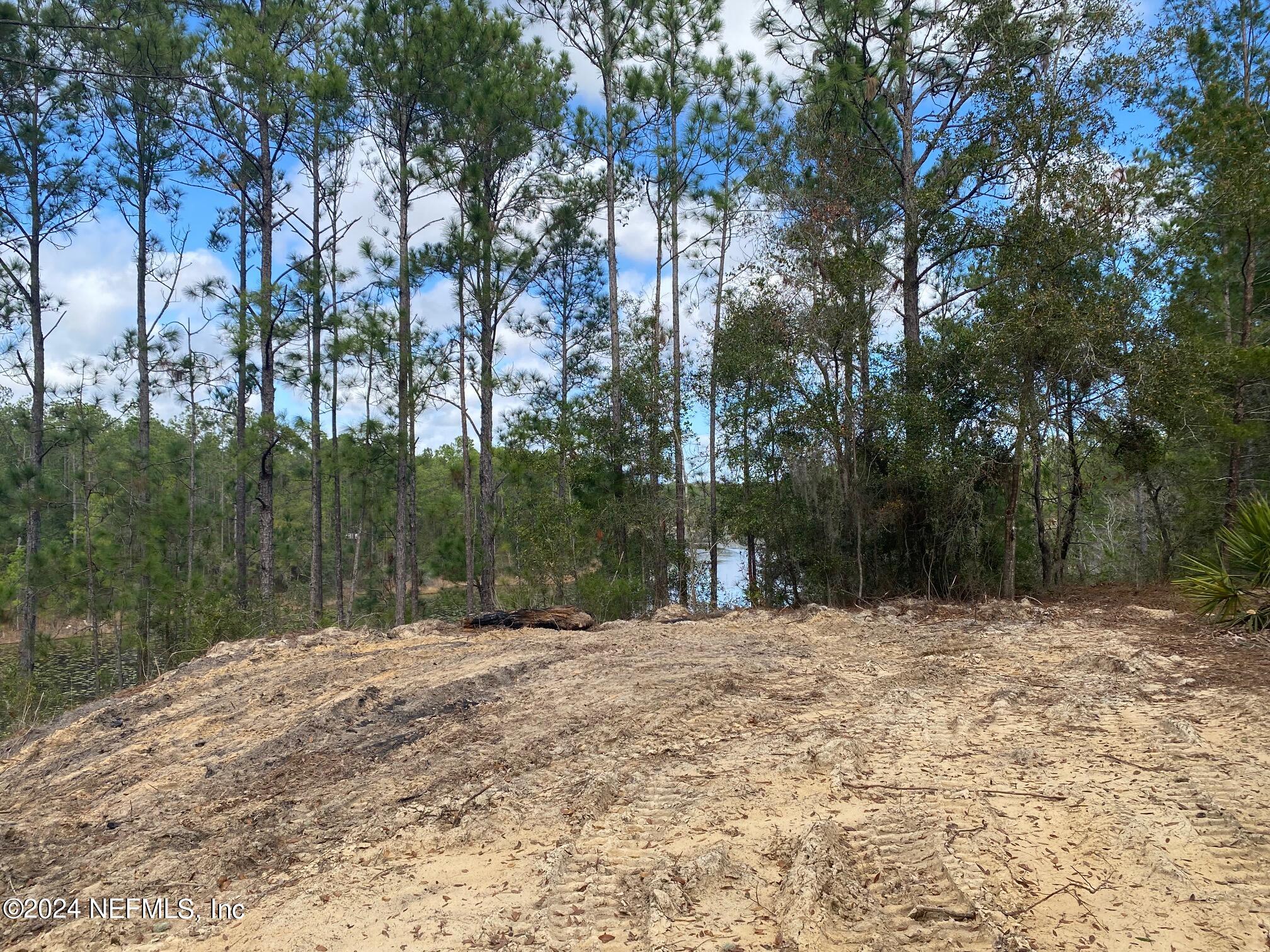 131 Lake Ray Road Hawthorne, FL 32640 - Photo 7 of 19 a view of outdoor space with trees