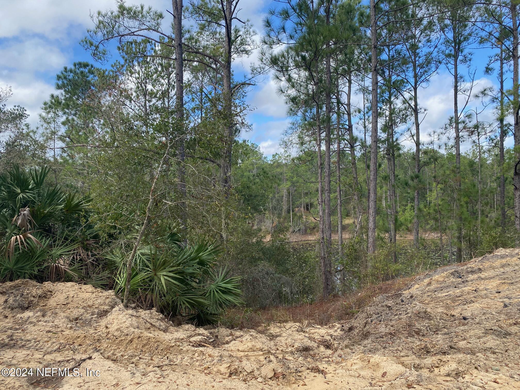 131 Lake Ray Road Hawthorne, FL 32640 - Photo 8 of 19 a view of a forest