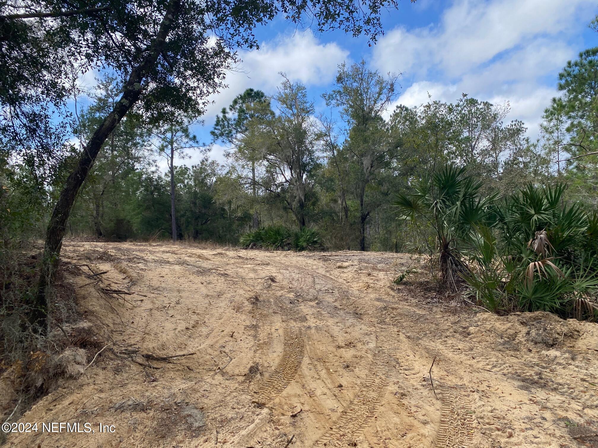 131 Lake Ray Road Hawthorne, FL 32640 - Photo 9 of 19 a view of a yard with trees