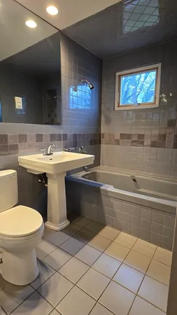 a bathroom with a sink and a toilet