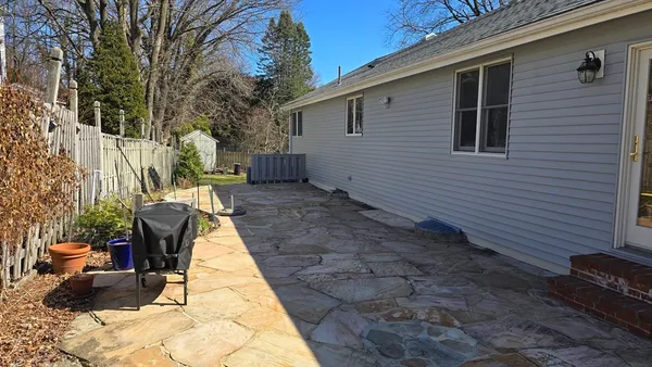 a view of a backyard with plants and trees