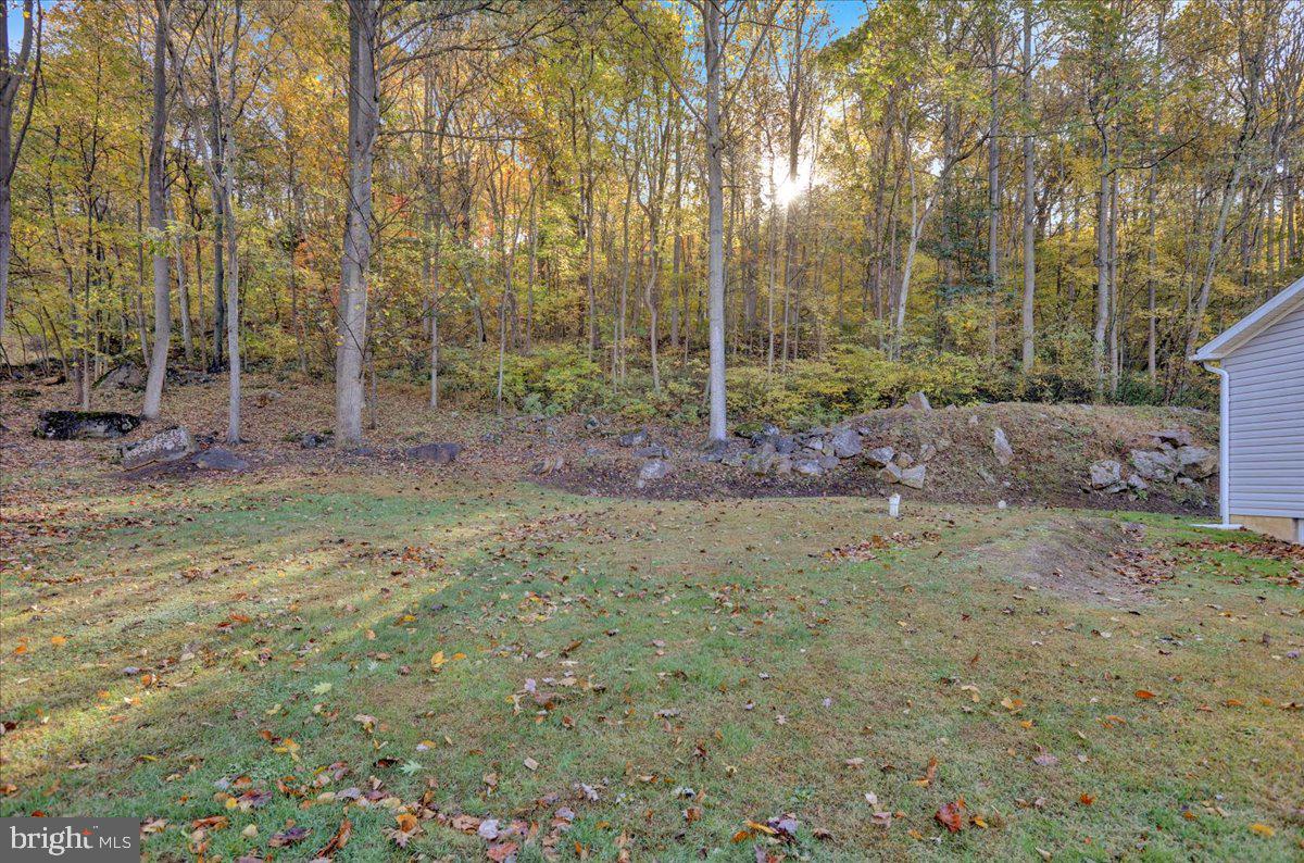 119 Smoketown Road Mertztown, PA 19539 - Photo 6 of 40 a view of a yard with trees