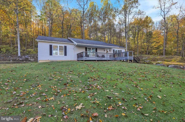a house that has a tree in front of it