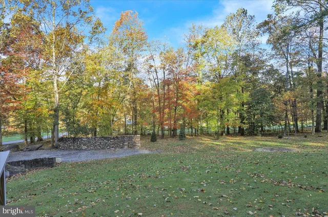 a view of a field with trees