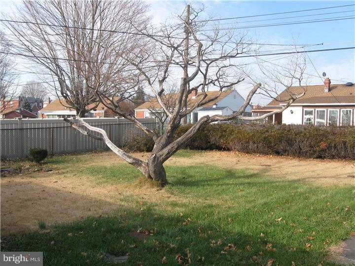 9952 Verree Road Philadelphia, PA 19115 - Photo 18 of 19 Exterior Back