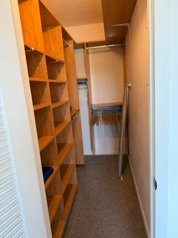 a view of walk in closet with empty racks
