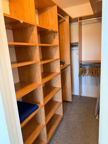 a view of walk in closet with clothes and shoes