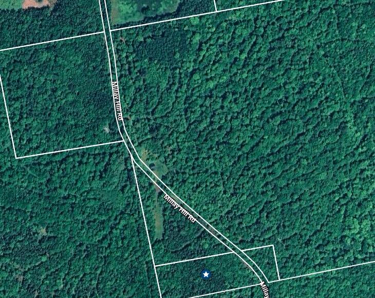 Image 11-1-25 at 11.21 AM