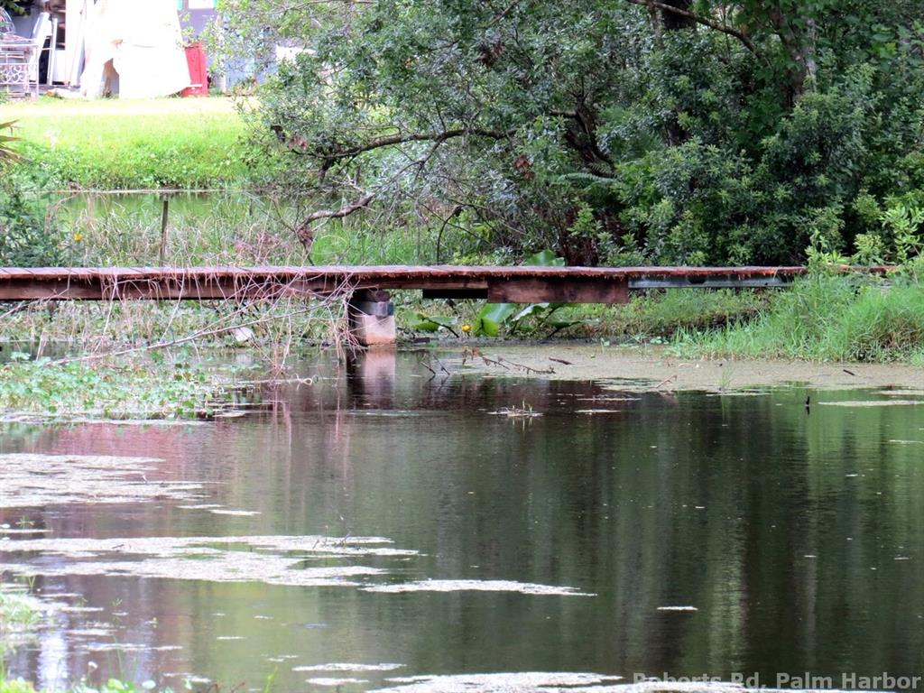 Roberts Road Tarpon Springs, FL 34689 - Photo 11 of 14