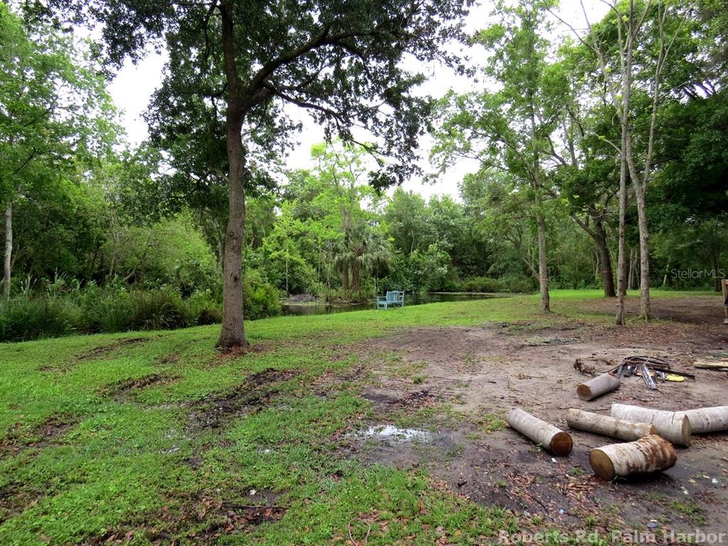 Roberts Road Tarpon Springs, FL 34689 - Photo 12 of 14