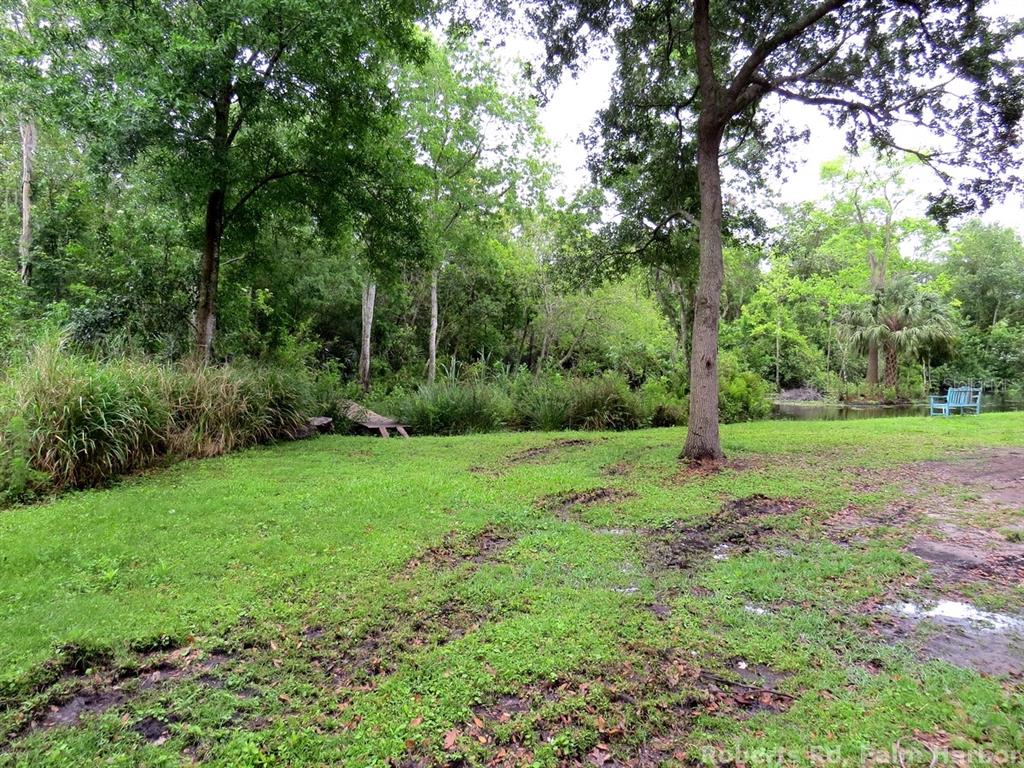 Roberts Road Tarpon Springs, FL 34689 - Photo 13 of 14