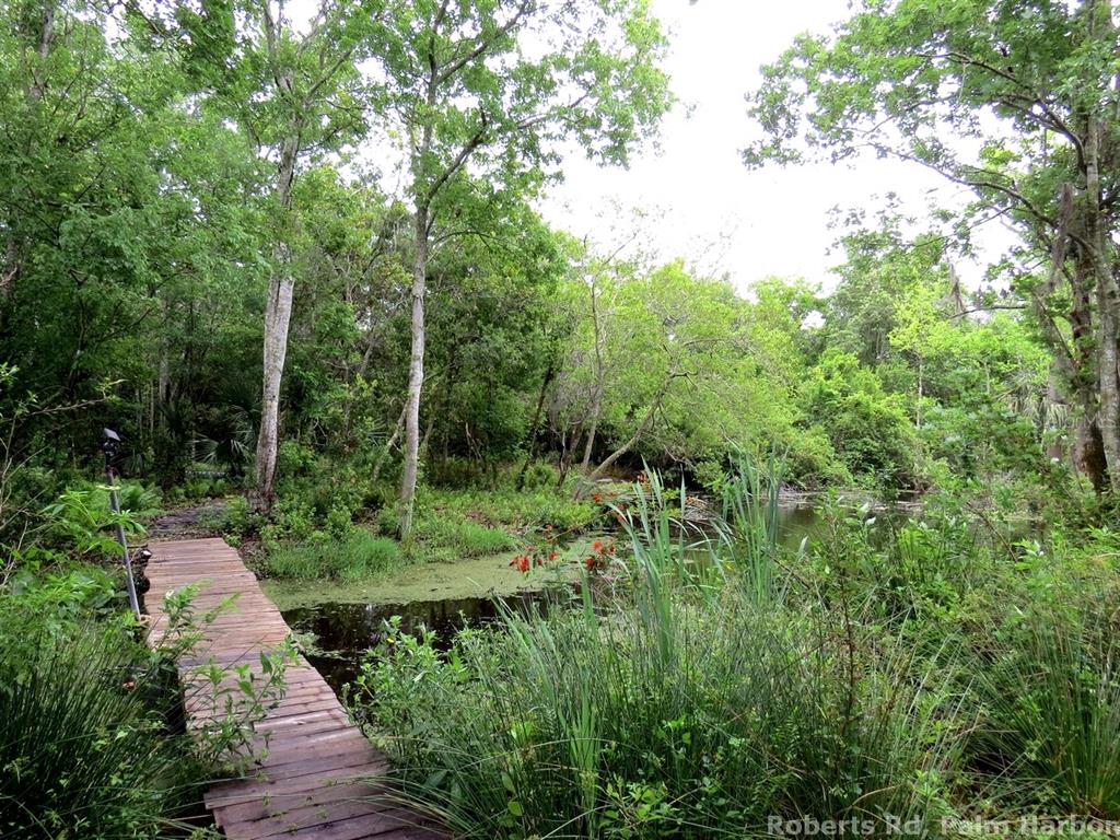 Roberts Road Tarpon Springs, FL 34689 - Photo 10 of 14