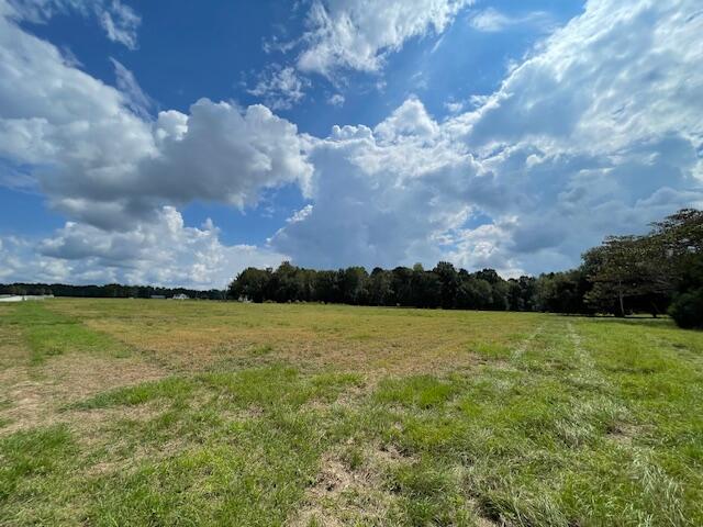 10 Austin Swamp Lane Ridgeville, SC 29472 - Photo 3 of 4 IMG_5511