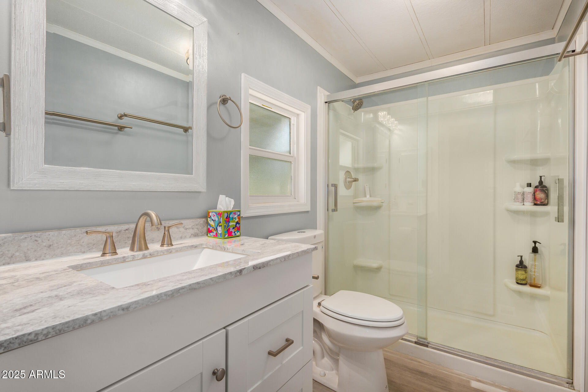 980 East Broadway Avenue, Unit 46 Apache Junction, AZ 85119 - Photo 12 of 35 Primary Bathroom