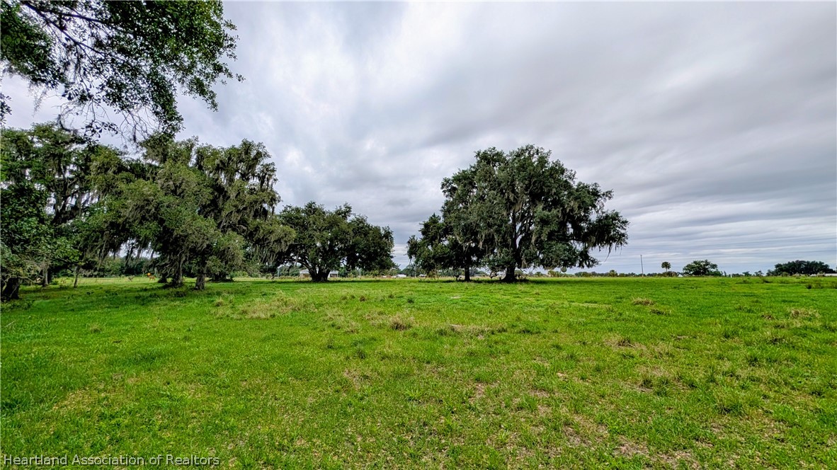 Popash Road Wauchula, FL 33873 - Photo 29 of 29 a view of a grassy field with trees