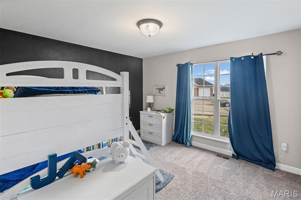 432 Mockingbird Lane Waterloo, IL 62298 - Photo 17 of 52