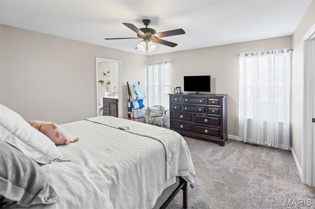 432 Mockingbird Lane Waterloo, IL 62298 - Photo 21 of 52