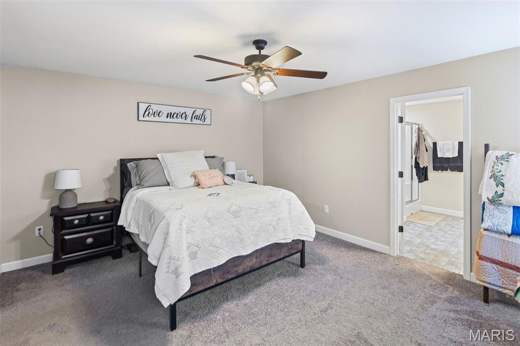 432 Mockingbird Lane Waterloo, IL 62298 - Photo 23 of 52