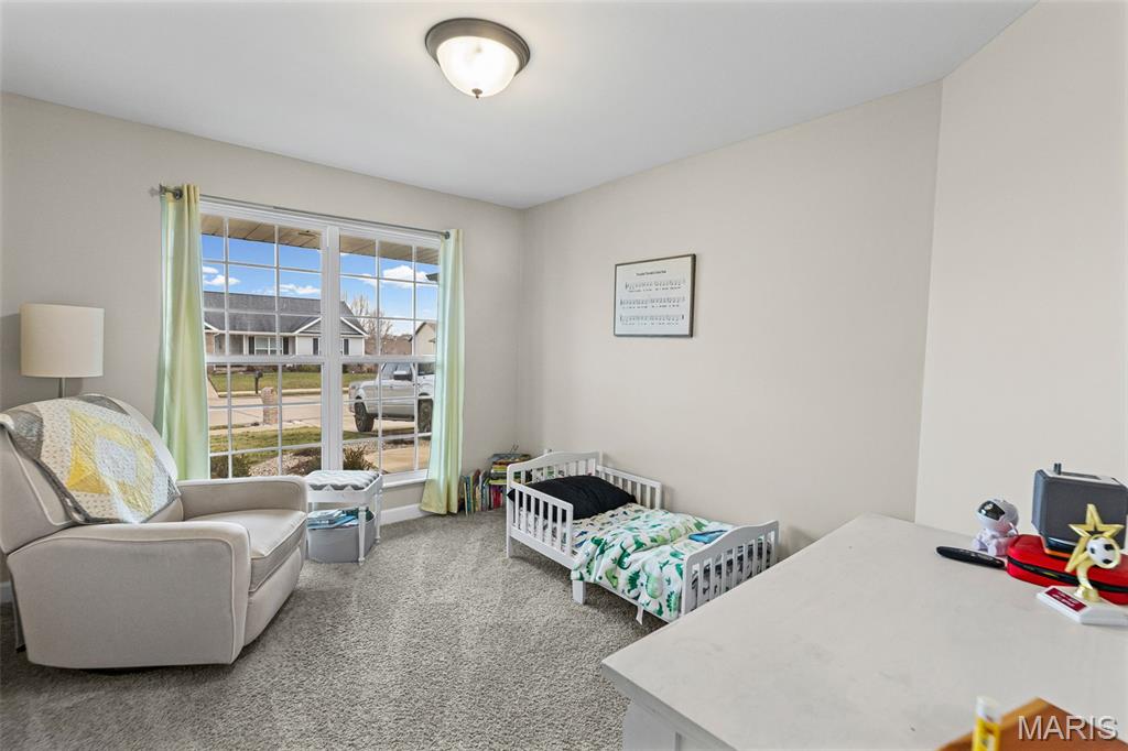 432 Mockingbird Lane Waterloo, IL 62298 - Photo 26 of 52