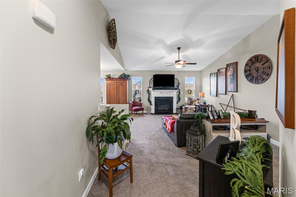 432 Mockingbird Lane Waterloo, IL 62298 - Photo 28 of 52