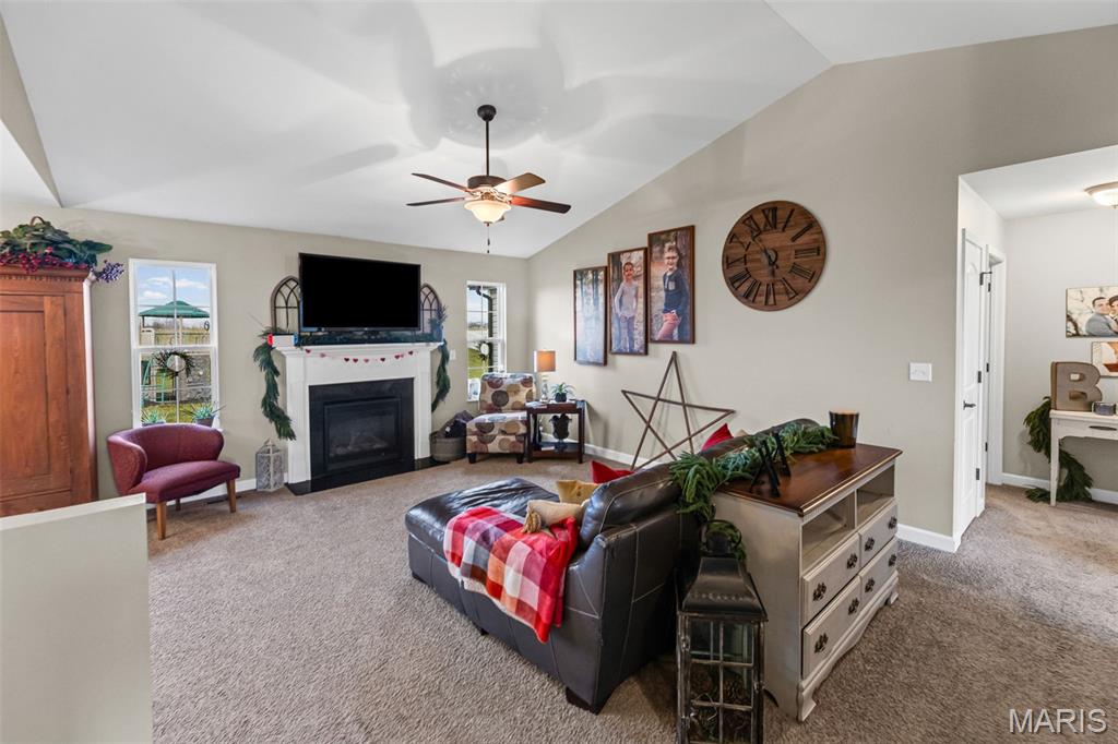 432 Mockingbird Lane Waterloo, IL 62298 - Photo 30 of 52