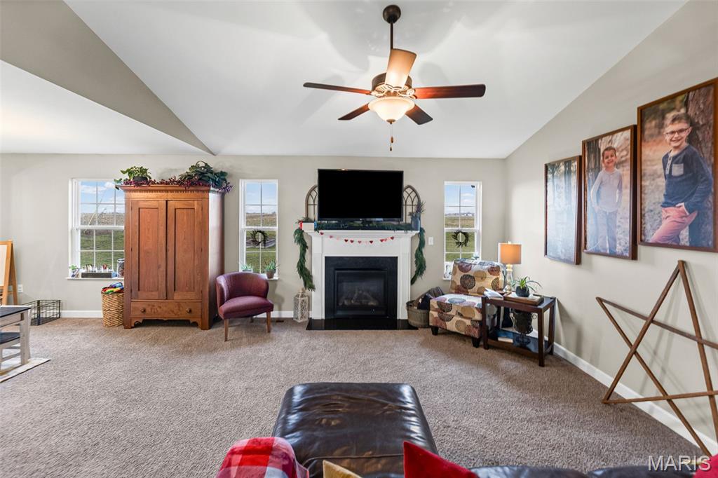 432 Mockingbird Lane Waterloo, IL 62298 - Photo 36 of 52