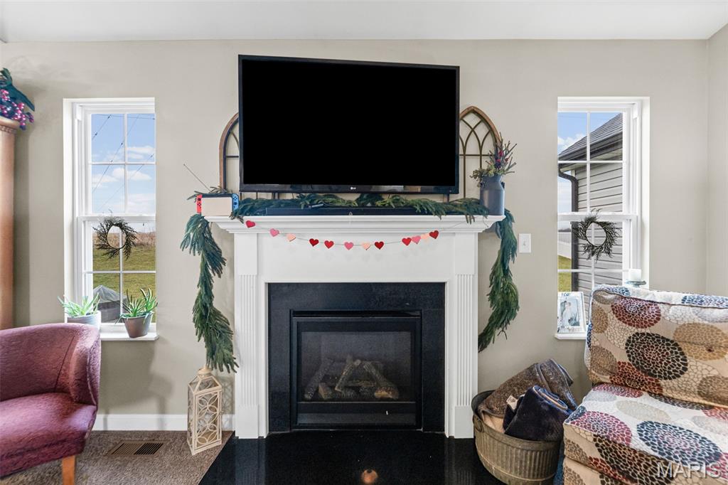 432 Mockingbird Lane Waterloo, IL 62298 - Photo 37 of 52