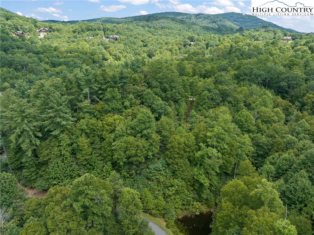 Lot L3 Woodlake Loop Road Elk Park, NC 28622 - Photo 18 of 18 a view of a lush green forest